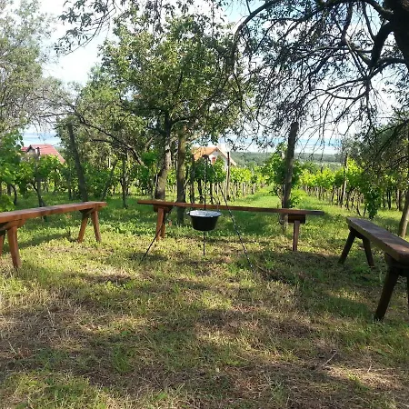 Traditional At Balaton Holiday home