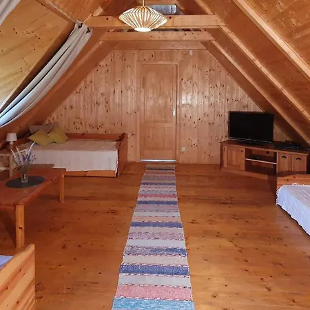 Traditional At Balaton Holiday home *