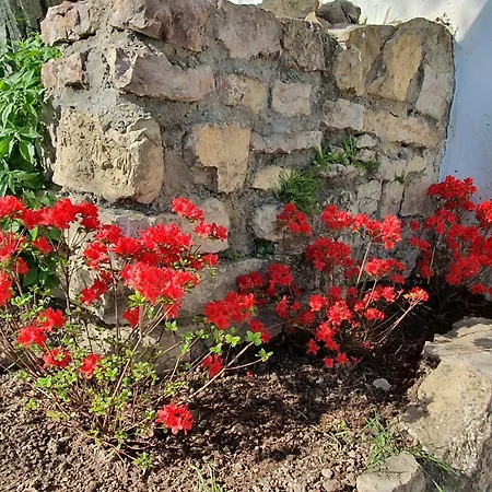 Traditional At Balaton Holiday home Vaszoly