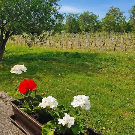 Traditional At Balaton Holiday home