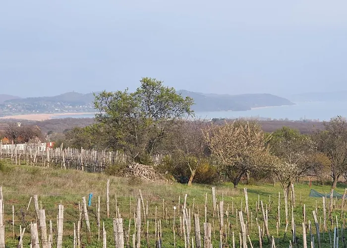 度假居 Traditional At Balaton
