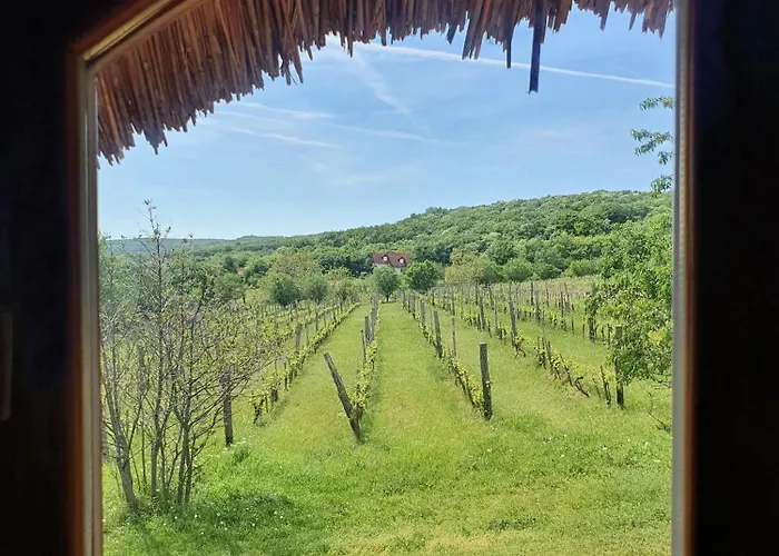 度假居 Traditional At Balaton *