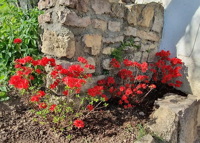 Traditional At Balaton 度假居 Vászoly